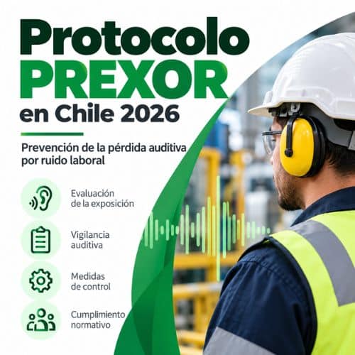 Protocolo PREXOR en Chile niveles, plazos y pasos